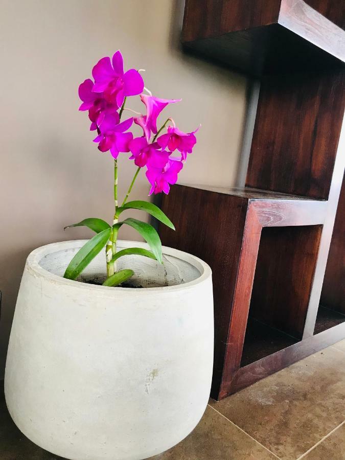 Mahina Te Fiti Island Break酒店 外观 照片